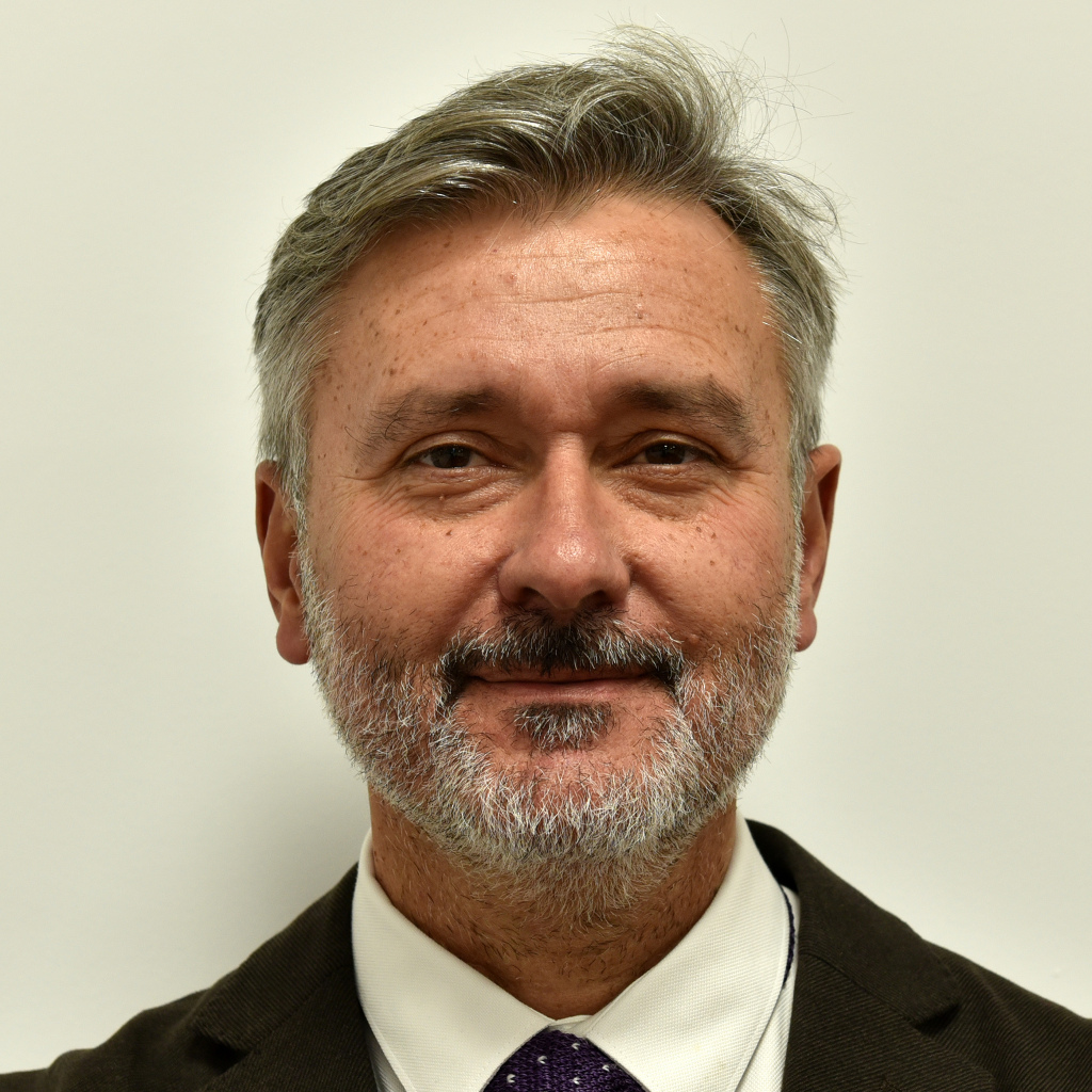 Alfredo José Ribeiro da Rocha